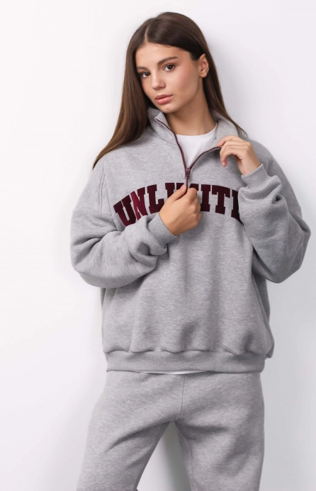 Джогери утеплені сірі